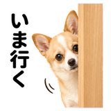 859725220