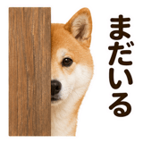 859725236