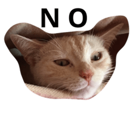 85976457