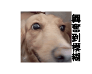 859767759