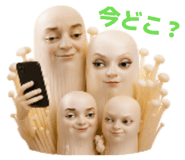 860168759