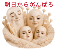 860168764