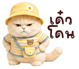 ❤️ตุ้ยนุ้ยแมวมูก้าน่ารัก❤️ รูปที่ 6