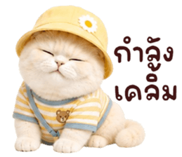 ❤️ตุ้ยนุ้ยแมวมูก้าน่ารัก❤️ รูปที่ 8