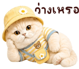 ❤️ตุ้ยนุ้ยแมวมูก้าน่ารัก❤️ รูปที่ 9