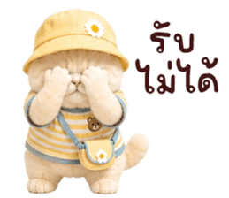 ❤️ตุ้ยนุ้ยแมวมูก้าน่ารัก❤️ รูปที่ 11