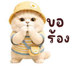 ❤️ตุ้ยนุ้ยแมวมูก้าน่ารัก❤️ รูปที่ 13