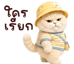 ❤️ตุ้ยนุ้ยแมวมูก้าน่ารัก❤️ รูปที่ 15