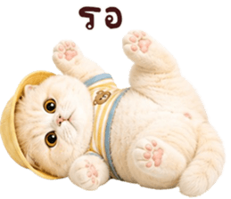 ❤️ตุ้ยนุ้ยแมวมูก้าน่ารัก❤️ รูปที่ 17