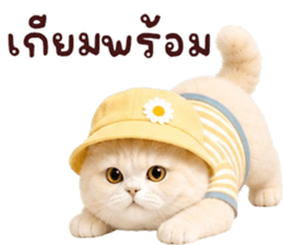 ❤️ตุ้ยนุ้ยแมวมูก้าน่ารัก❤️ รูปที่ 18