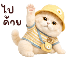 ❤️ตุ้ยนุ้ยแมวมูก้าน่ารัก❤️ รูปที่ 19