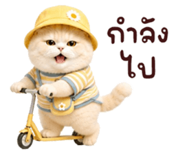 ❤️ตุ้ยนุ้ยแมวมูก้าน่ารัก❤️ รูปที่ 20