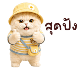 ❤️ตุ้ยนุ้ยแมวมูก้าน่ารัก❤️ รูปที่ 21