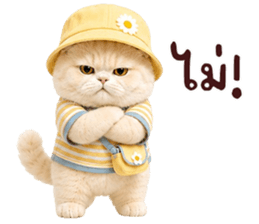 ❤️ตุ้ยนุ้ยแมวมูก้าน่ารัก❤️ รูปที่ 22