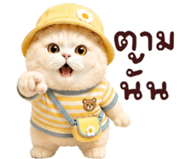 ❤️ตุ้ยนุ้ยแมวมูก้าน่ารัก❤️ รูปที่ 25