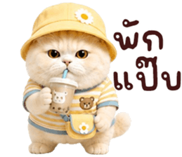 ❤️ตุ้ยนุ้ยแมวมูก้าน่ารัก❤️ รูปที่ 26
