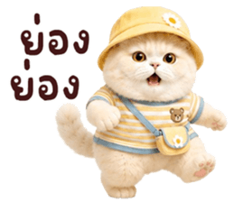 ❤️ตุ้ยนุ้ยแมวมูก้าน่ารัก❤️ รูปที่ 28