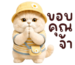 ❤️ตุ้ยนุ้ยแมวมูก้าน่ารัก❤️ รูปที่ 29