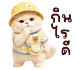 ❤️ตุ้ยนุ้ยแมวมูก้าน่ารัก❤️ รูปที่ 30