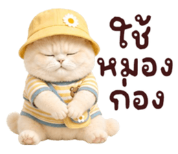 ❤️ตุ้ยนุ้ยแมวมูก้าน่ารัก❤️ รูปที่ 31