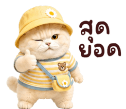 ❤️ตุ้ยนุ้ยแมวมูก้าน่ารัก❤️ รูปที่ 33