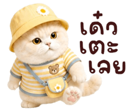 ❤️ตุ้ยนุ้ยแมวมูก้าน่ารัก❤️ รูปที่ 34