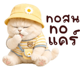 ❤️ตุ้ยนุ้ยแมวมูก้าน่ารัก❤️ รูปที่ 35