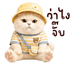 ❤️ตุ้ยนุ้ยแมวมูก้าน่ารัก❤️ รูปที่ 36