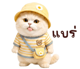 ❤️ตุ้ยนุ้ยแมวมูก้าน่ารัก❤️ รูปที่ 37