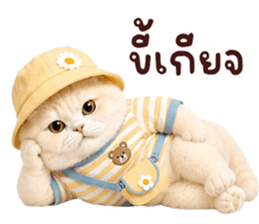 ❤️ตุ้ยนุ้ยแมวมูก้าน่ารัก❤️ รูปที่ 39