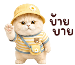 ❤️ตุ้ยนุ้ยแมวมูก้าน่ารัก❤️ รูปที่ 40