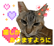 860258025