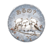 860258428