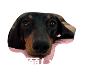 860259718
