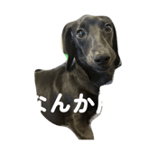 860259720