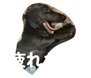 860259721