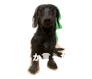860259724
