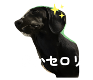 860259725