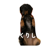 860259726