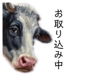 860265347