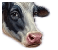 860265348