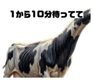 860265349