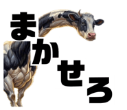 860265354