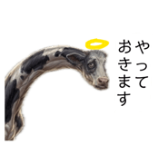 860265357
