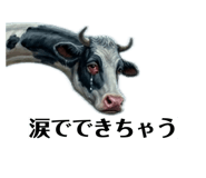 860265358