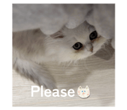 860265733