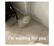 860265736