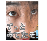 860266804