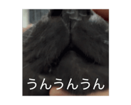 860272196