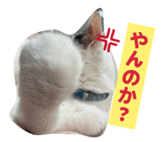 860284257